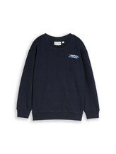 Ausgewählt, Oversize Sweatshirt mit Rückenprint von Tom Tailor, blau