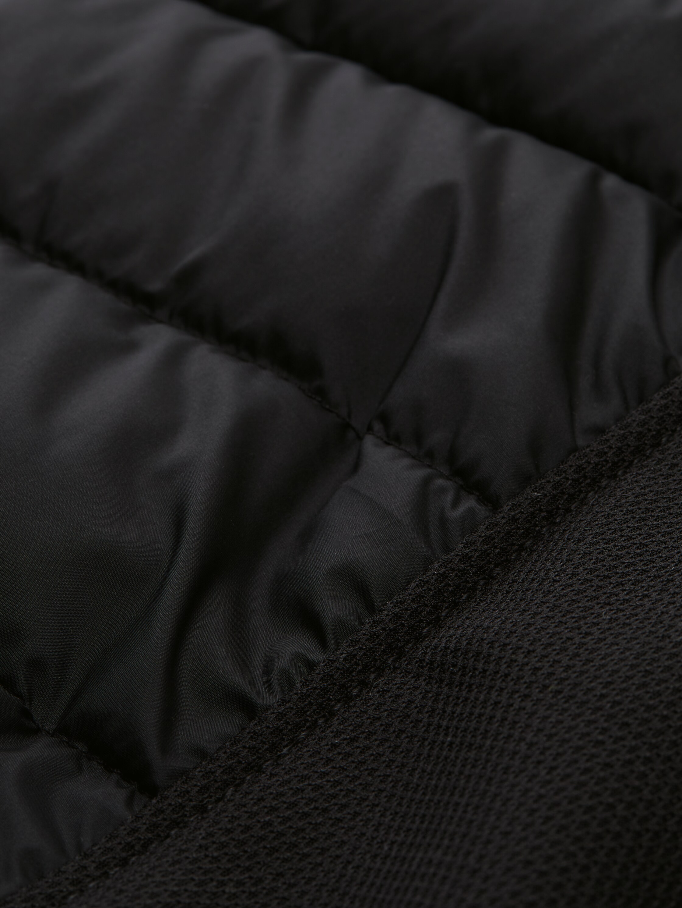 Plus Size - Hybrid Steppweste mit Stehkragen - black - 