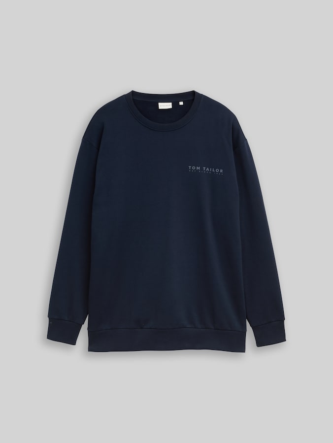 Plus Size - Sweatshirt mit Logo-Print von Men Plus Size, sky captain blue