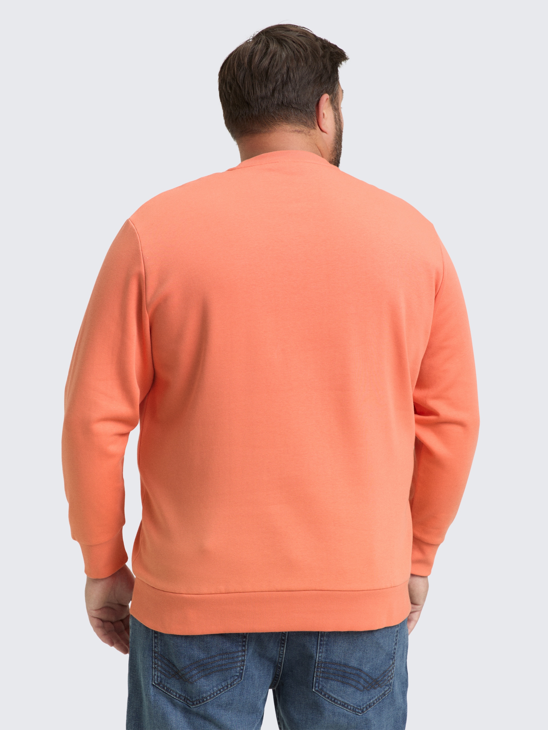 Plus Size - Sweatshirt mit Logo-Print - Wild Coral - Auschnitt Model-Rückansicht