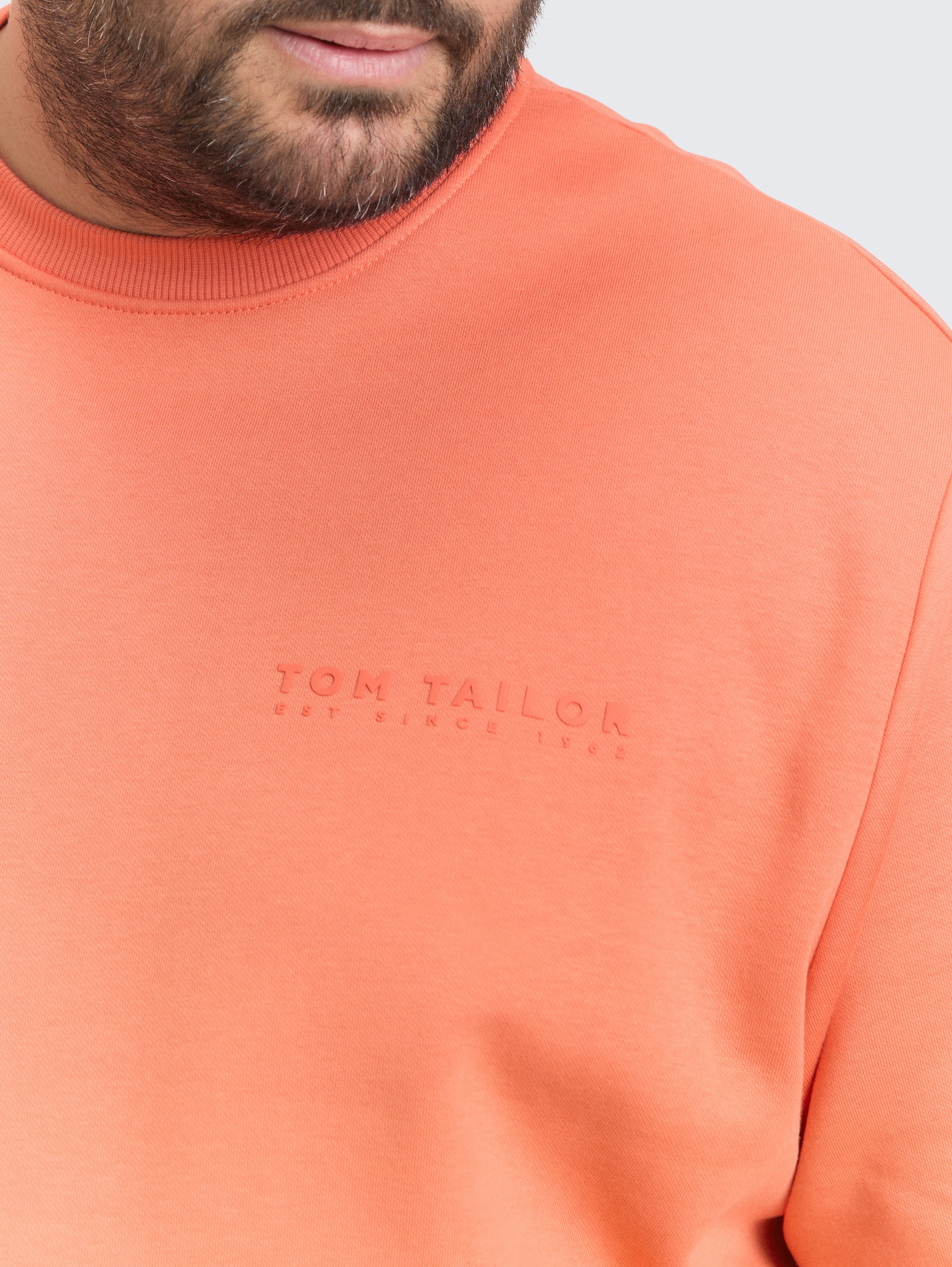 Plus Size - Sweatshirt mit Logo-Print - Wild Coral - Detail-Model-Ansicht