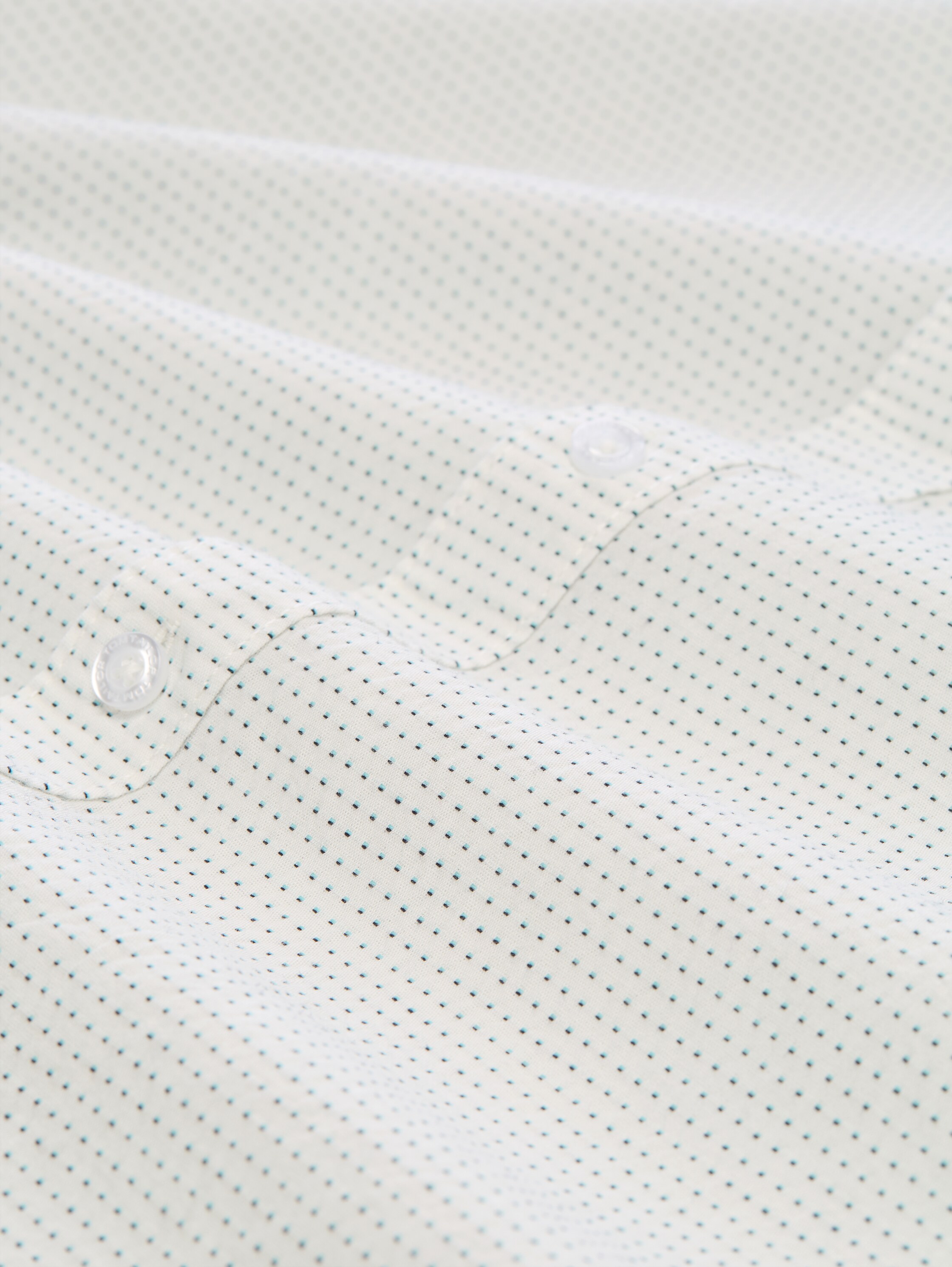 Regular fit short-sleeved cotton shirt - gardenia_white_dot_structure - 