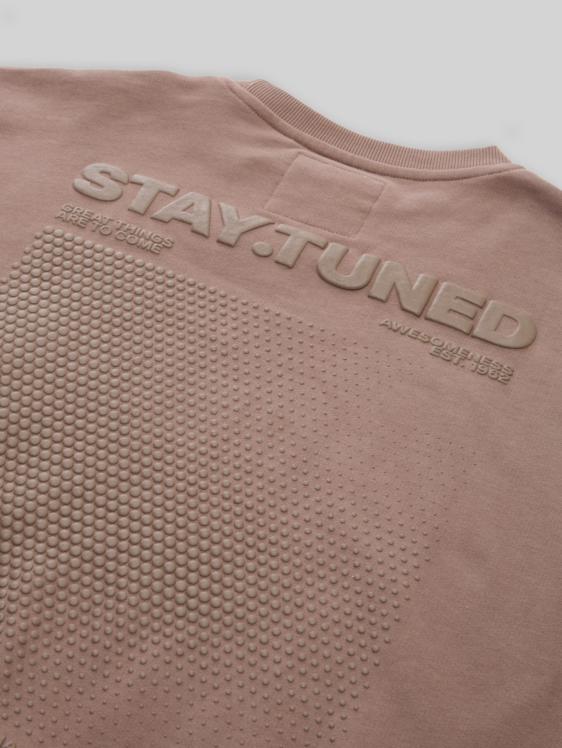 Sweat oversize avec imprimé 3D dans le dos - seed brown - Vue détaillée du modèle
