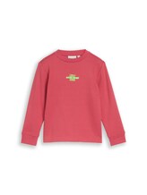 Ausgewählt, Sweatshirt mit Print von Tom Tailor, rot