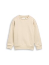 Ausgewählt, Oversize Sweatshirt mit Rückenprint von Tom Tailor, beige