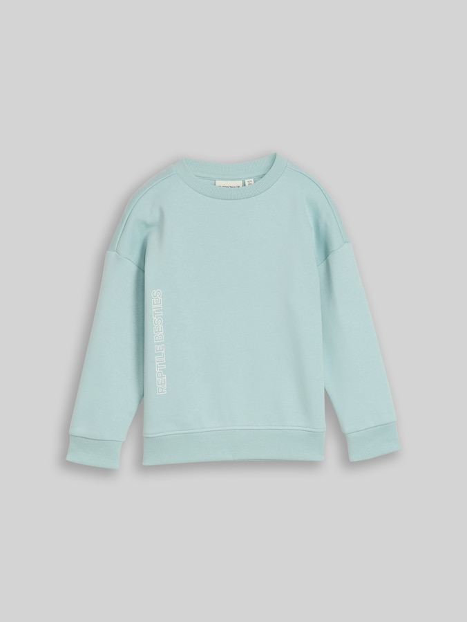 Oversize Sweatshirt mit Print von Mini Boys, dusty mint blue