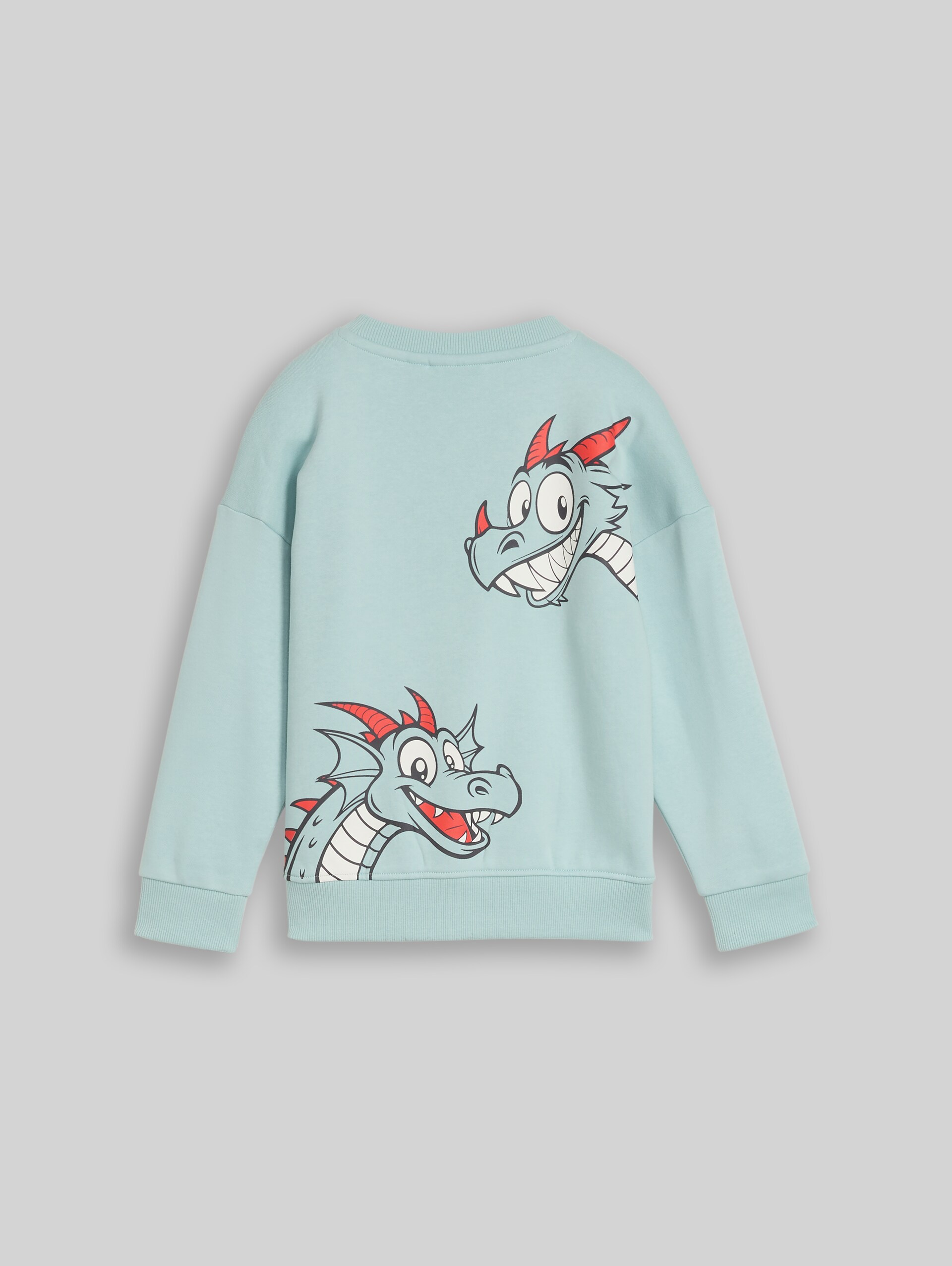 Sweat oversize à imprimé - dusty mint blue