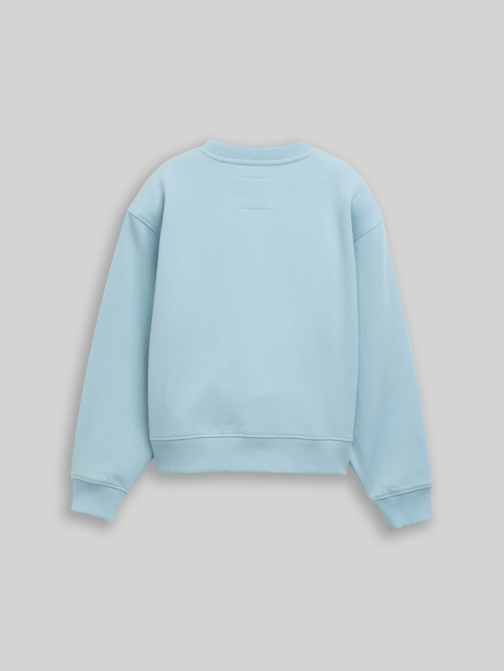 Basic Sweatshirt - tourmaline