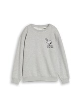 Geselecteerd, Oversized sweatshirt met Peanuts-print door Tom Tailor, grauw