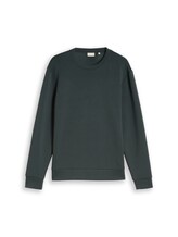 Nicht ausgewählt, Basic Scuba Sweatshirt von Tom Tailor, grün