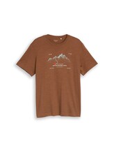 Niet geselecteerd, T-shirt met print door Tom Tailor, bruin