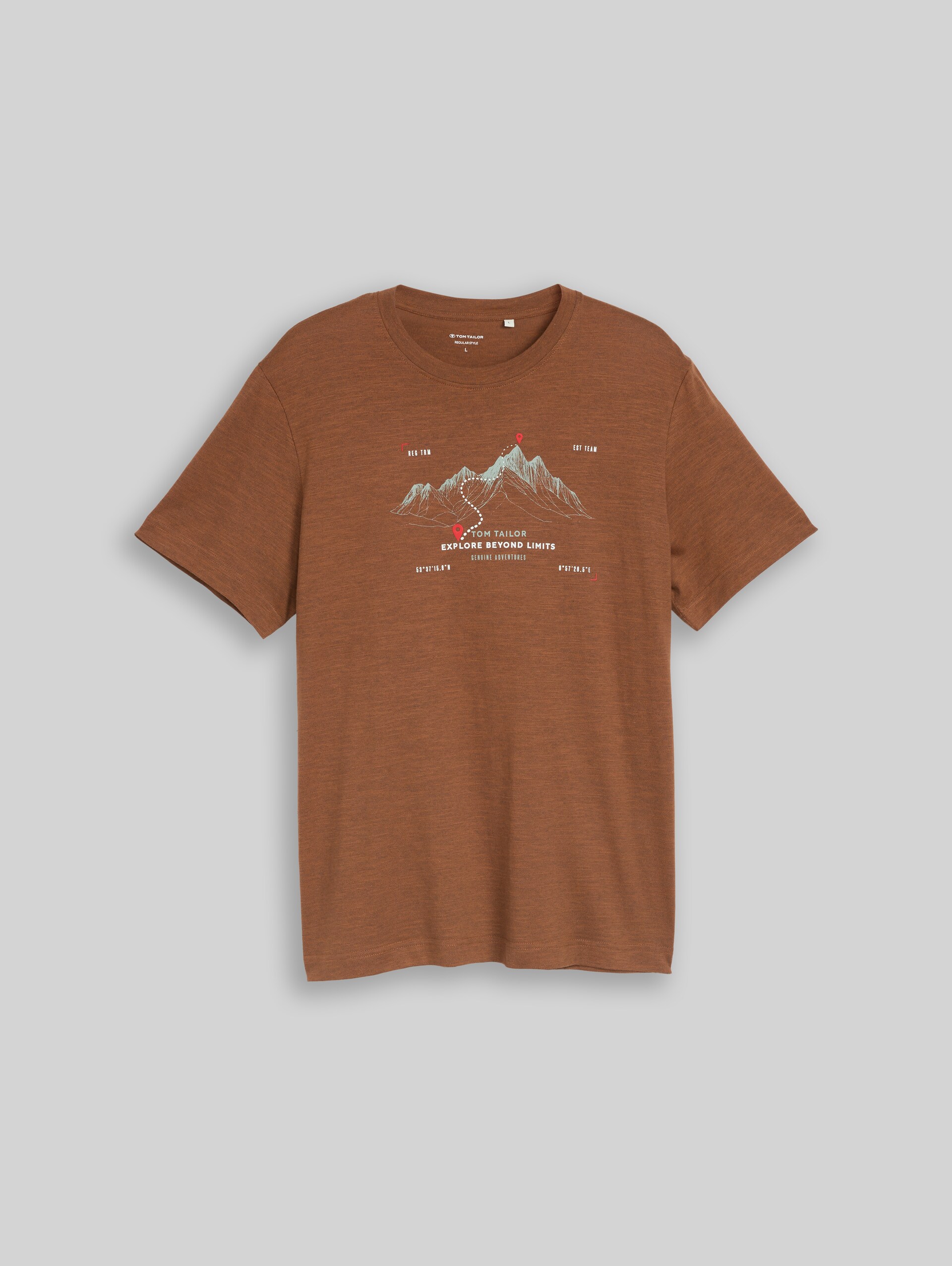 T-shirt met print - brown olive injected stripe - Product vooraanzicht