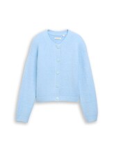 Ausgewählt, Cosy Cardigan mit Rundhalsausschnitt von Tom Tailor, blau