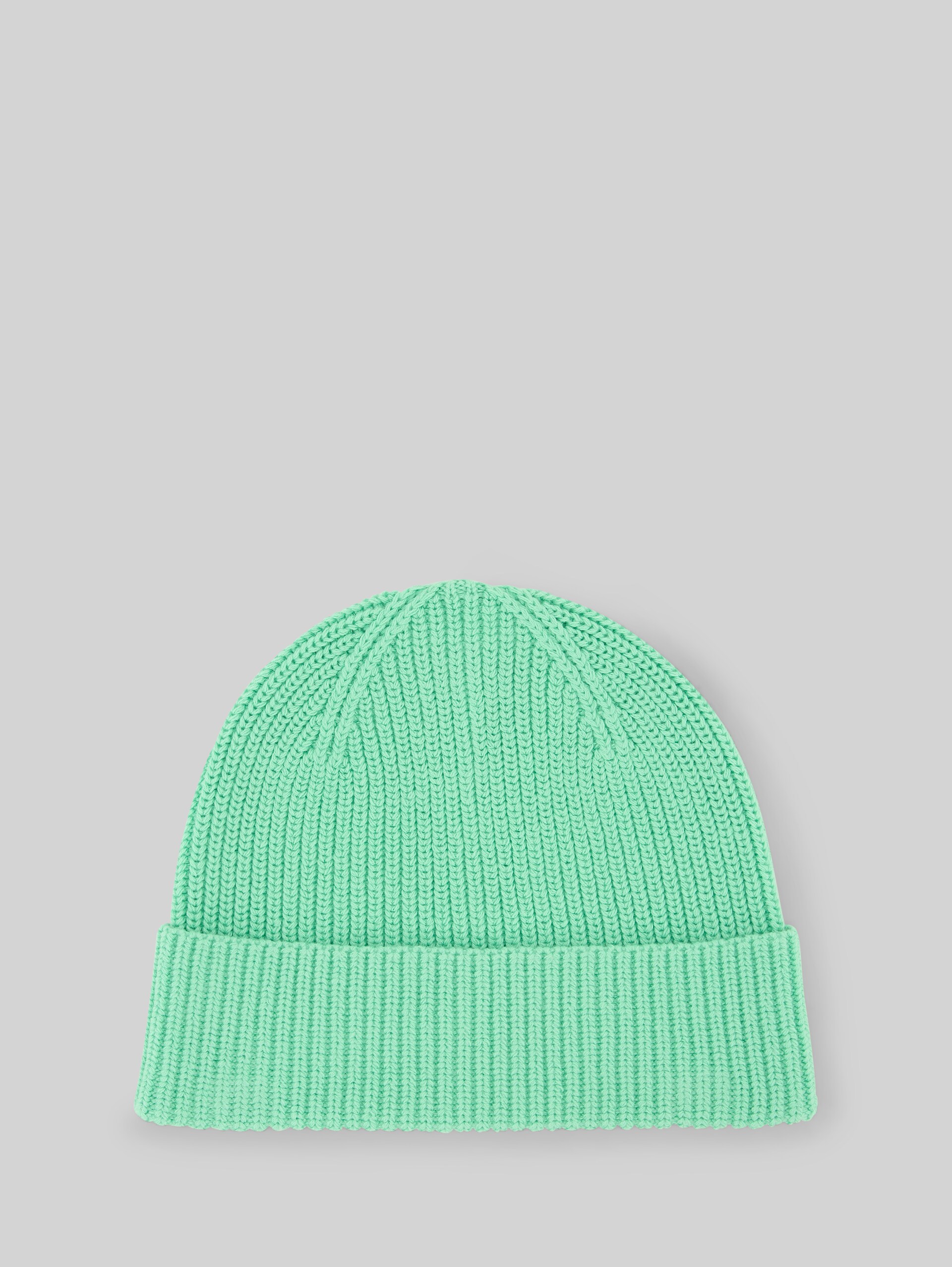Beanie Mütze - leafy green - Vorder-Produkt-Ansicht