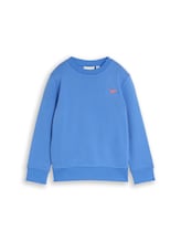 Ausgewählt, Basic Sweatshirt mit Print von Tom Tailor, blau