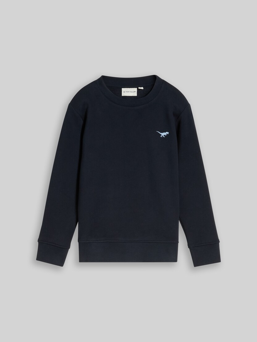 Sweat à capuche avec broderie dinosaure par Mini Boys, sky captain blue