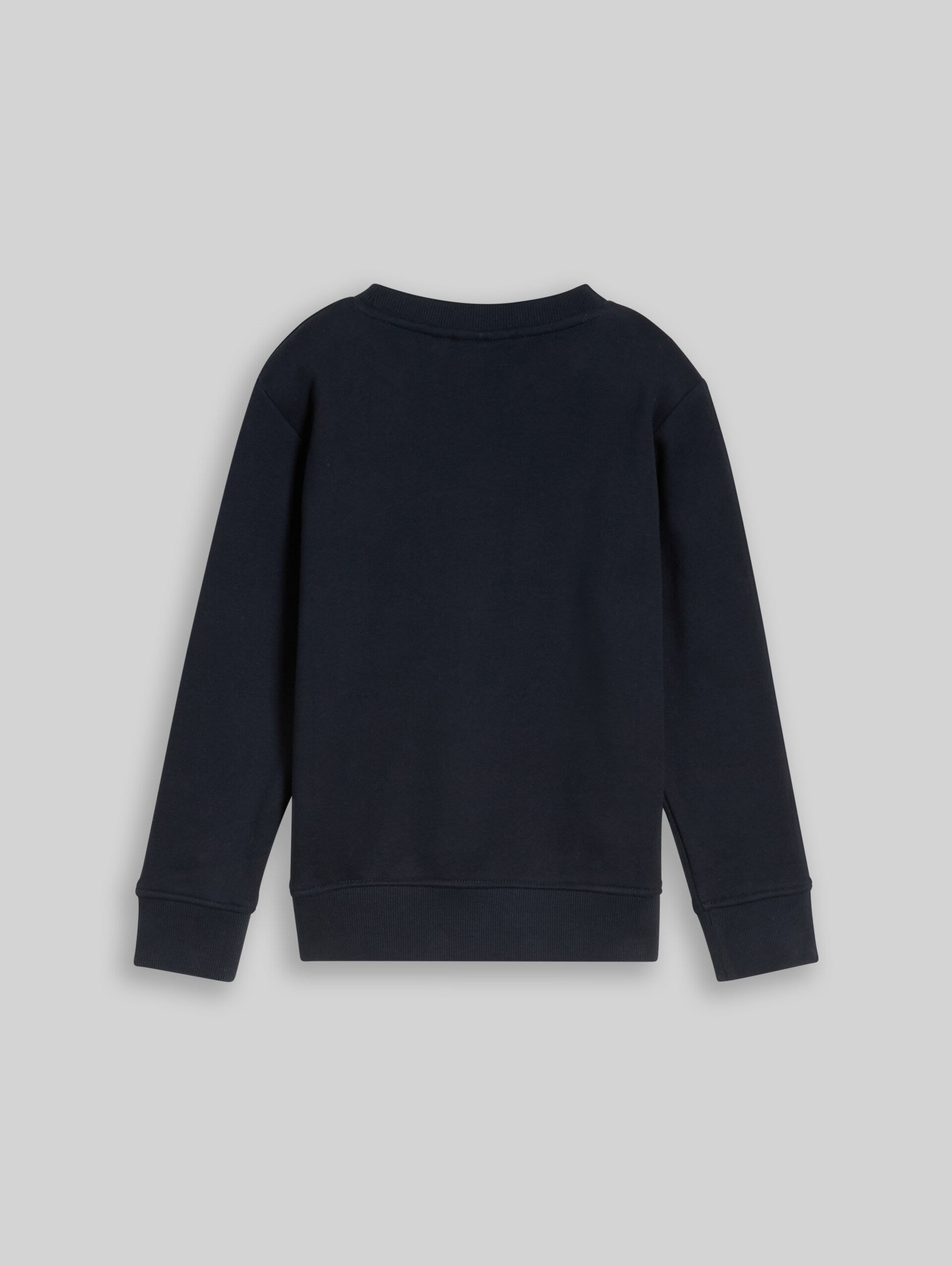 Sweatshirt mit Dino-Stickerei - sky captain blue