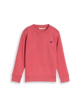 Geselecteerd, Sweatshirt met dinosaurusborduursel door Tom Tailor, rood