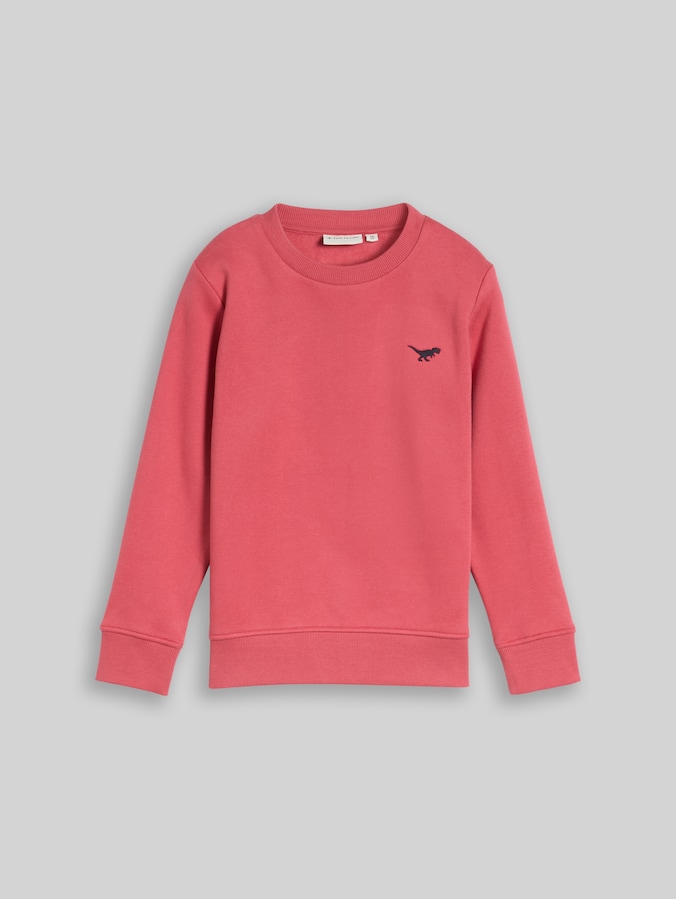Sweat-shirt avec broderie dinosaure par Mini Boys, Berry Red