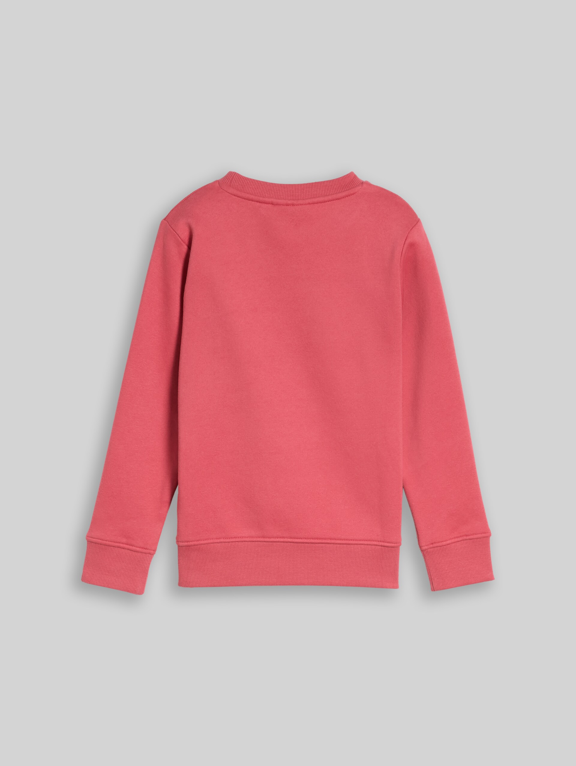 Sweatshirt met dinosaurusborduursel - Berry Red