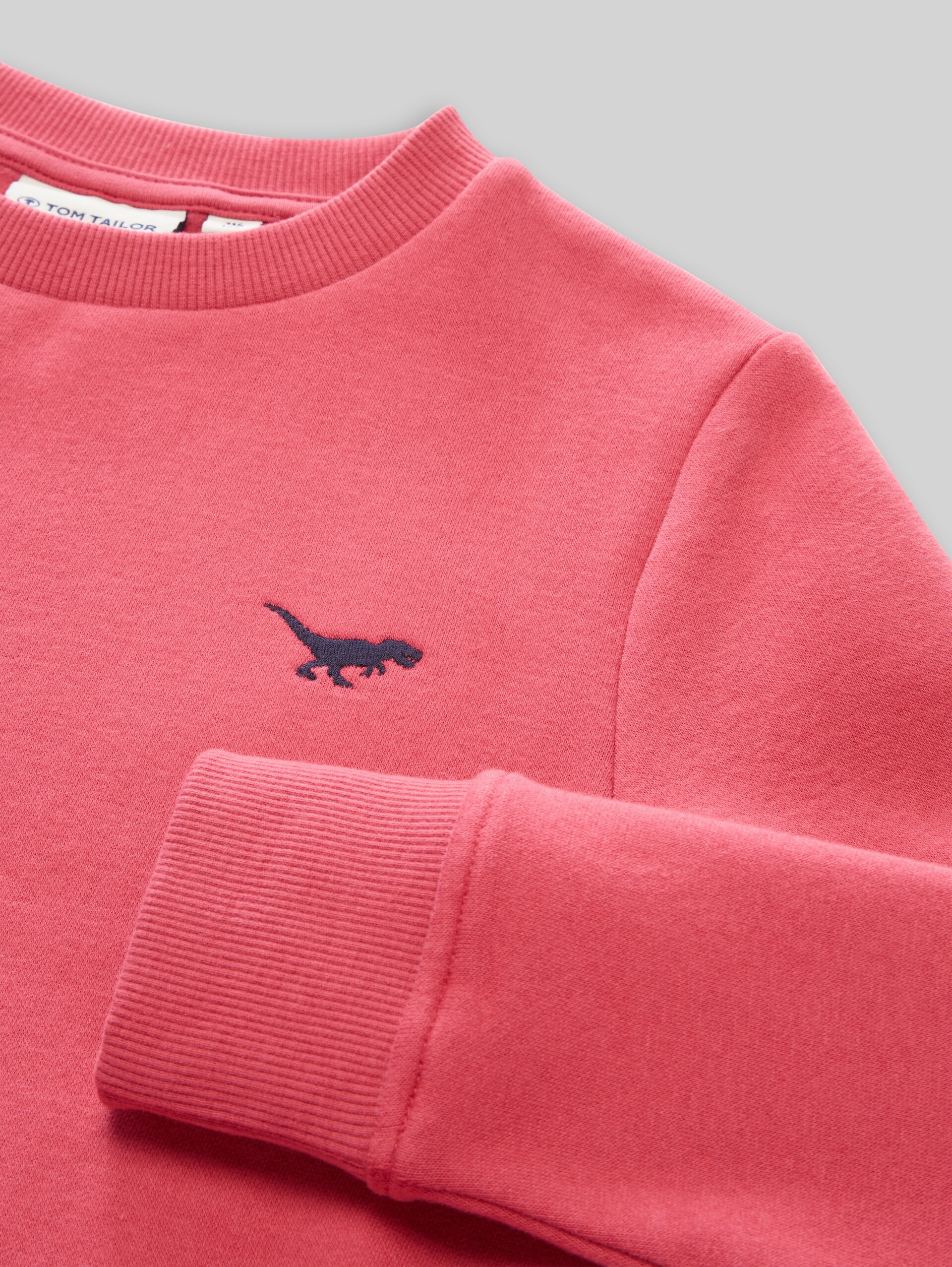 Sweatshirt met dinosaurusborduursel - Berry Red - Detailaanzicht model