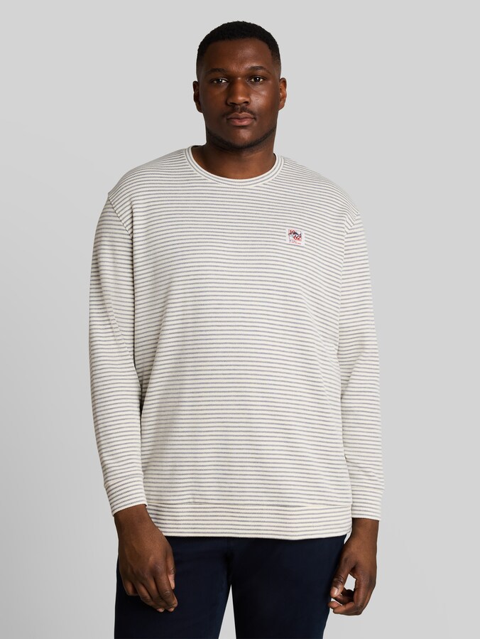 Plus Size - Langarmshirt mit Streifenmuster von Men Plus Size, offwhite structured stripe