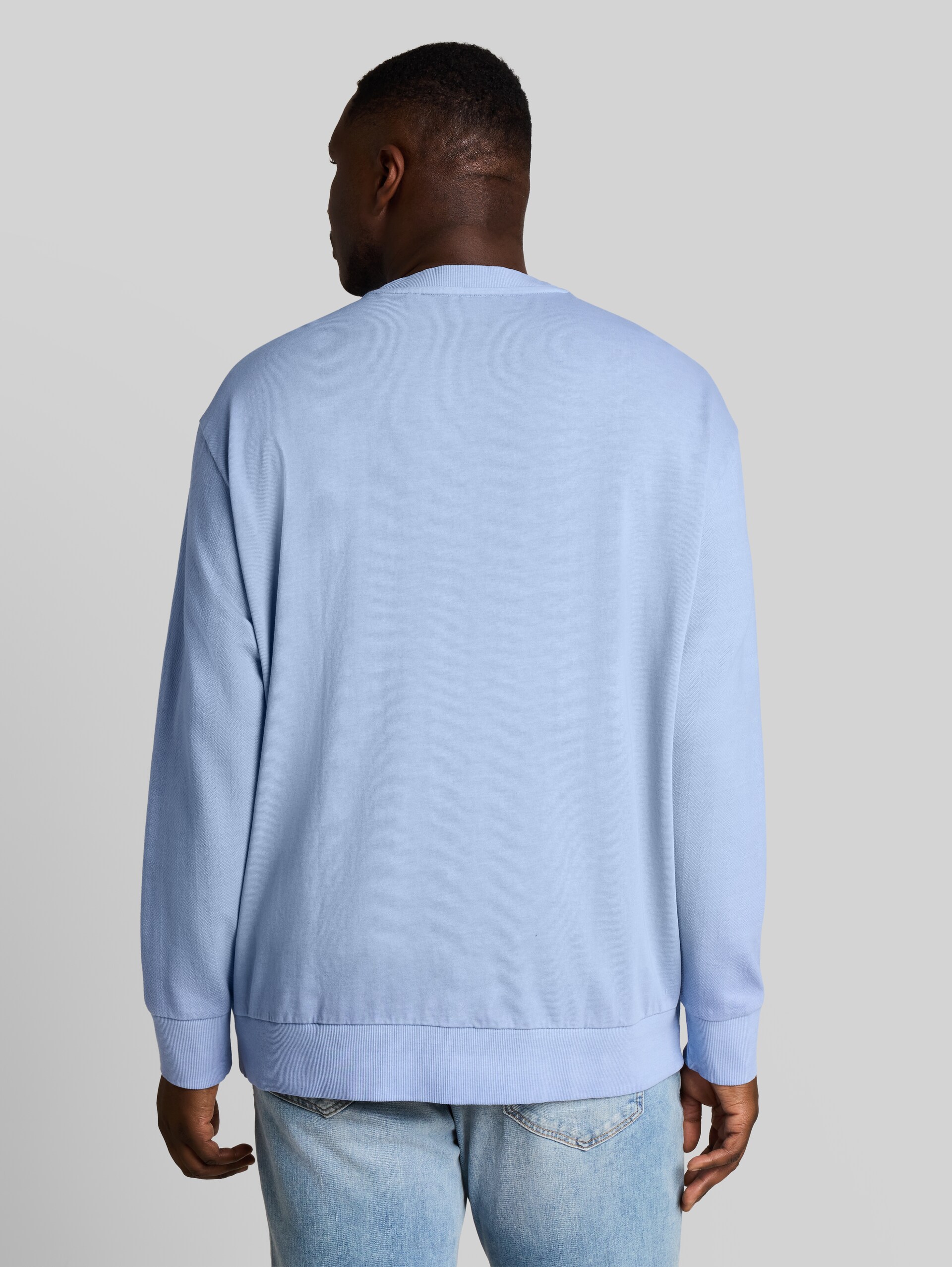 Plus Size - Sweatshirt in used-look - Pale Blue - Neklijn model-achteraanzicht