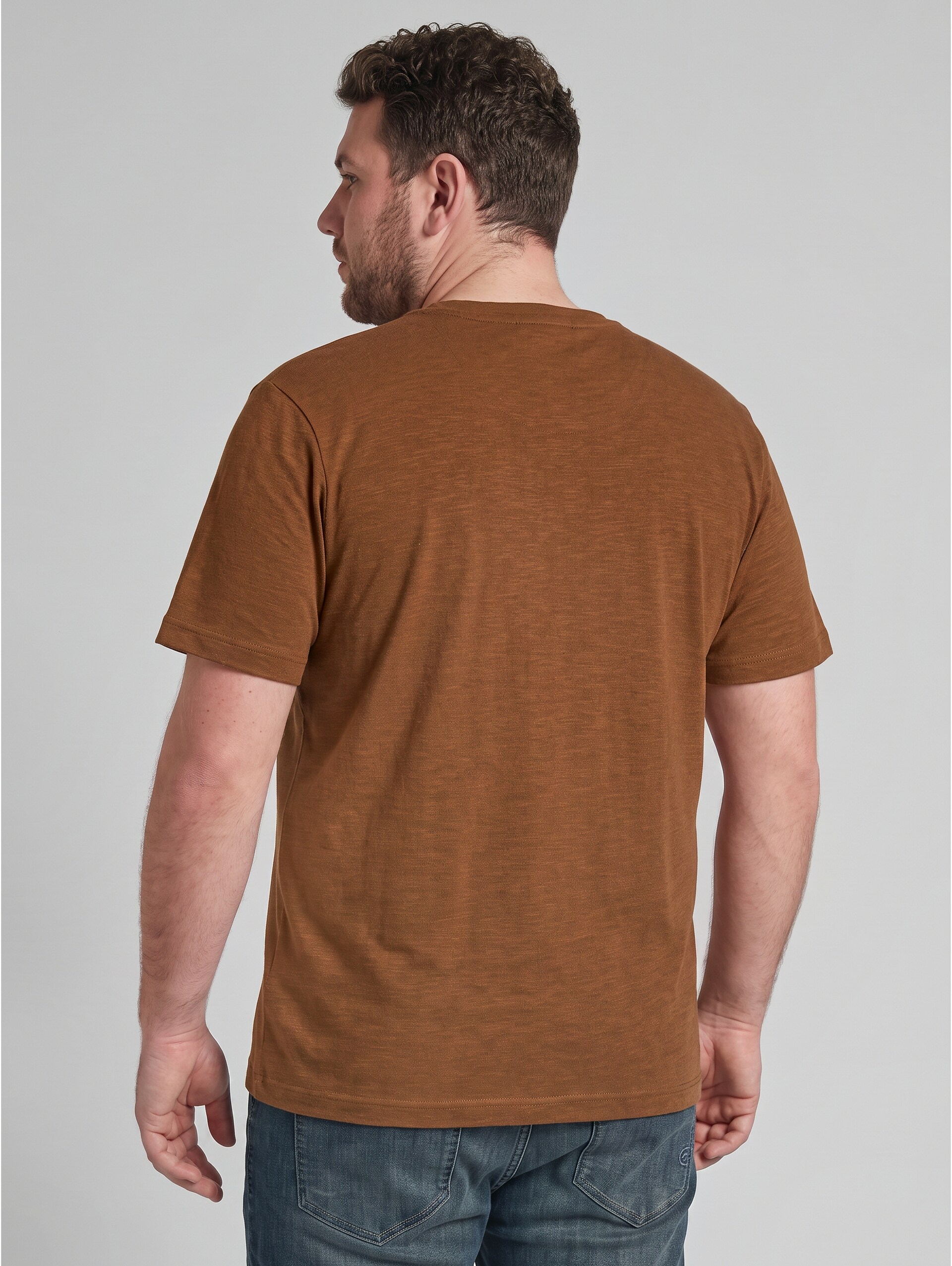 Plus - T-shirt with a print - brown olive injected stripe - Neckline model-back view