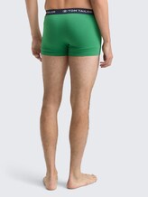 Kurze Boxershorts im 3er-Pack - cardinal-navy-green - Auschnitt Model-Rückansicht