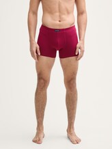 Kurze Boxershorts im 2er-Pack - red-dark-solid - Ausschnitt Model-Vorderansicht