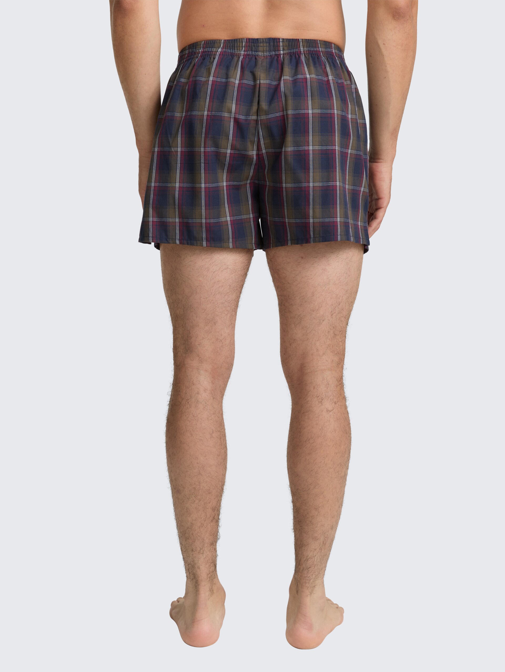 Kurze Boxershorts im 2er-Pack - blue-dark-check - Auschnitt Model-Rückansicht