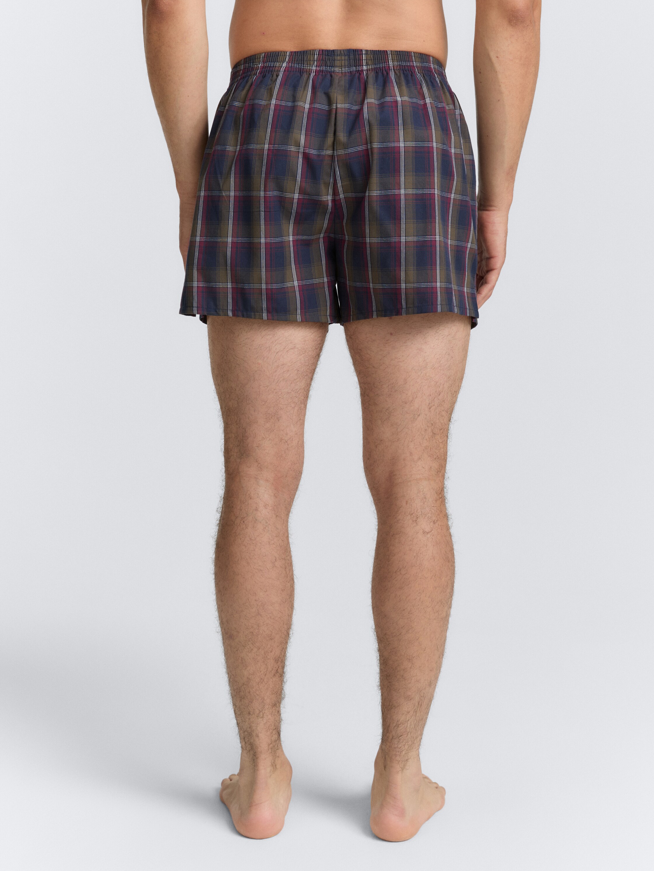 Short boxer shorts in a 2-pack - blue-dark-check - Neckline model-back view