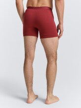 Boxers courts en pack de 2 - rot-dunkel-multicolor1 - Découpe Vue arrière du modèle