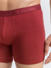 Boxers courts en pack de 2 - rot-dunkel-multicolor1 - Vue détaillée du modèle