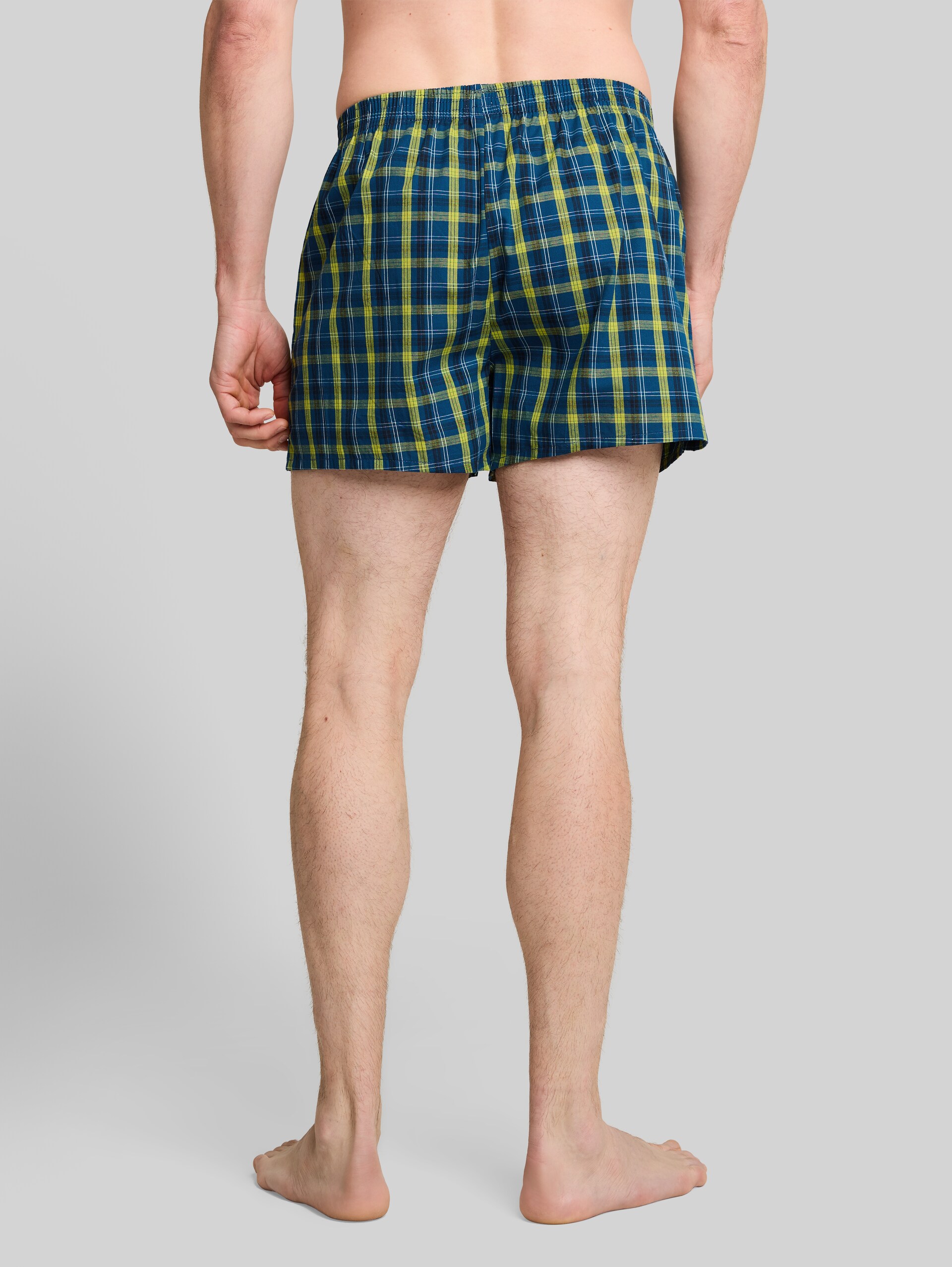 Boxershorts met ruitjespatroon in een set van 2 - blue-medium-check - Neklijn model-achteraanzicht