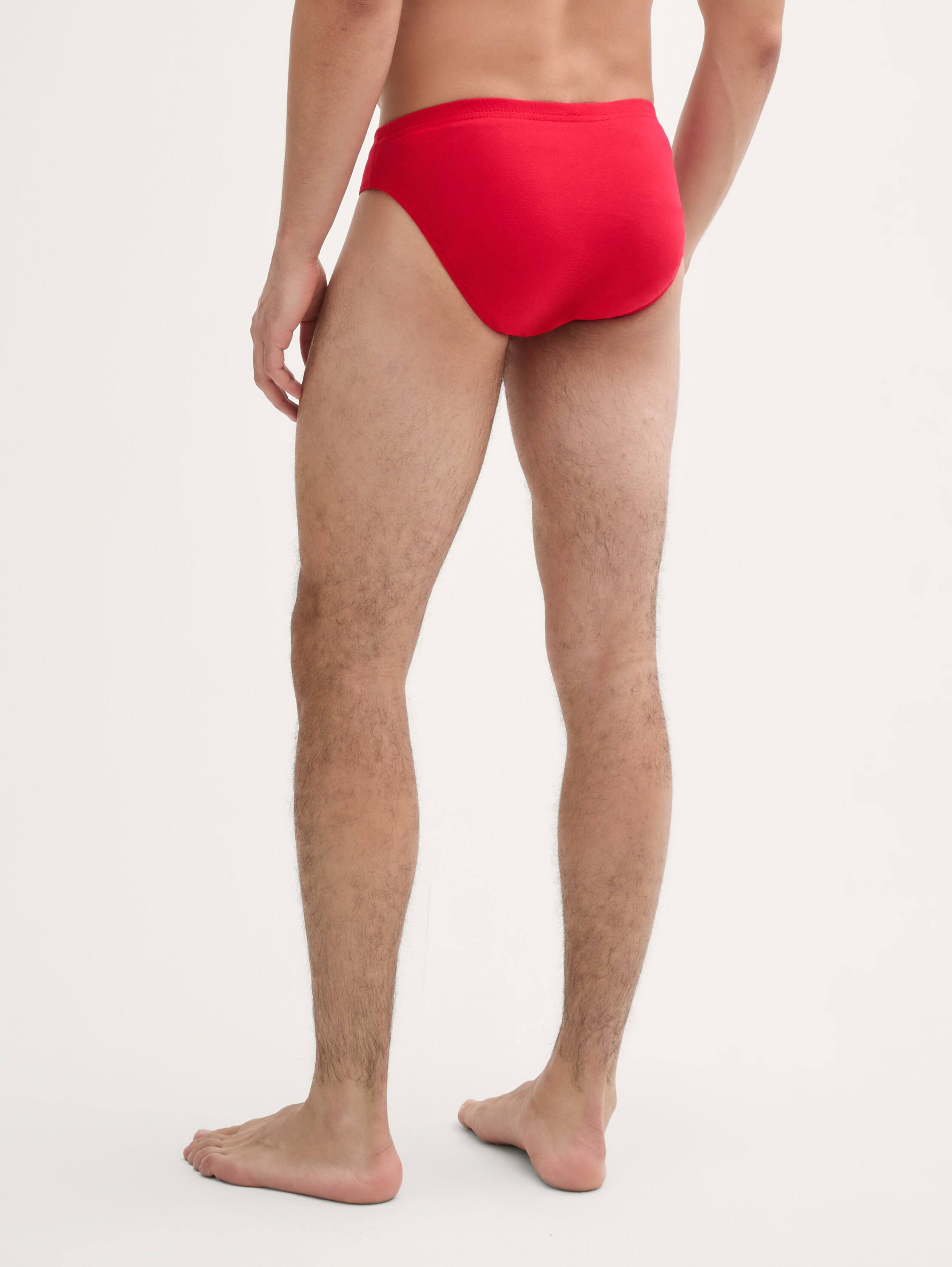 Katoenen onderbroek in een pak van 5 - navywhitered - 